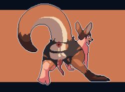 8bit_familiar animal_genitalia animal_penis anthro anus ass bottomwear clothing digital_media_(artwork) fur genitals human kangaroo macropod male mammal marsupial marsupial_penis pants penis pixel_(artwork) rear_view solo tail thick_tail tongue tongue_out torn_bottomwear torn_clothing torn_pants transformation y_anus