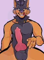 1boy anthro balls big_penis canine erection exited fur furry genitals grey_body grey_fur heterochromia knot male male_only masculine nude pankoshine tongue_out wolf