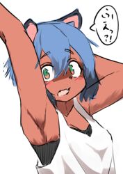 akamu_ver20 anthro armpit_hair armpits brand_new_animal fur michiru_kagemori tagme tanuki