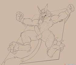 2020 4_toes 5_fingers abs ankle_cuffs anthro arm_tuft armpit_hair balls barefoot biceps biped body_hair bound claws digimon digimon_(species) digital_media_(artwork) elbow_tufts erection fangs felid fingers genitals grey_background greyscale humanoid_genitalia humanoid_penis leomon long_ears male male_only mammal mane monochrome muscular muscular_male nipples nude open_mouth patron pawpads pecs penis shackles sharp_claws simple_background solo spelunker_sal tail_tuft teeth toes tuft uncut wrist_cuff