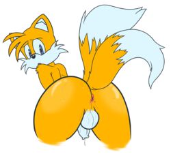 1boy alpha_channel anthro anus ass backsack balls bodily_fluids canid canine fox fur genitals hi_res looking_back male male_only mammal mobian_(species) nude open_mouth penis sega solo solo_male sonic_(series) sonic_the_hedgehog_(series) sweat tails tangybutts uncut video_games white_balls yellow_body yellow_fur