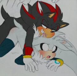 1boy 1girls 2024 blush cuntboy doggy_style ear_biting intersex pinned pinned_down questionable_consent rule_63 sega shadow_the_hedgehog silver_the_hedgehog silveroppai sonic_(series) sonic_the_hedgehog_(series) vaginal_penetration