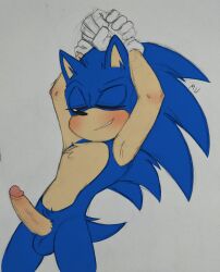 erection hands_up male male_focus male_only non-human presenting presenting_balls presenting_penis sega silveroppai solo_male sonic_(series) sonic_the_hedgehog sonic_the_hedgehog_(series)