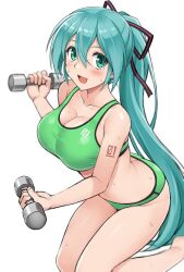 hatsune miku from vocaloid
