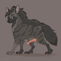 balls blue_eyes fur genitals grey_body hi_res hyena male mammal mane penis solo symrea