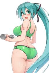 hatsune miku from vocaloid