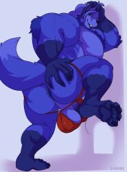 2024 anthro anus ass backsack balls beard bent_leg biceps big_balls big_butt big_muscles blue_body blue_fur bodily_fluids body_hair bulge canid canine chest_hair claws clothed clothing deltoids dripping facial_hair feet fox fur genital_fluids genitals grey_background hair hand_on_butt hand_on_head huge_balls huge_butt huge_muscles ill_dingo ineffective_clothing jockstrap jockstrap_only looking_back male male_only mammal muscular muscular_anthro muscular_male on_one_leg pawpads pecs penis penis_base perineum precum precum_drip precum_string precum_through_clothing precum_through_jockstrap precum_through_underwear simple_background smile soles solo standing teeth thick_arms thick_thighs topless topless_anthro topless_male tuft underwear underwear_only wet wet_clothing