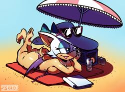 rouge the bat from sonic (series) by speedosausage