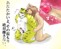 2012 anal anthro balls blindfold blush duo erection felid genitals humanoid_genitalia humanoid_hands humanoid_penis japanese_text kemono lion male male/male mammal moobs nipples overweight overweight_male pantherine penis sex simple_background suishou0602 text tiger tongue tongue_out