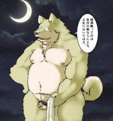 2013 anthro balls belly canid canine canis cloud domestic_dog genitals hi_res humanoid_genitalia humanoid_hands humanoid_penis japanese_text kemono male male_only mammal moobs moon navel night nipples outside overweight overweight_male penis pubes sky small_penis solo star suishou0602 text towel