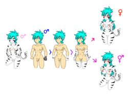 4:3 alpha_channel animal_humanoid anthro balls blush eropixelda_(artist) felid female futa_is_bigger futanari futanari_transformation gender_symbol gender_transformation genitals girly gynomorph human human_to_anthro humanoid intersex keidran male mammal mtf_transformation mti_transformation pantherine penis rule_63 simple_background solo species_transformation symbol tiger trace_legacy transformation transparent_background twokinds webcomic ♀ ♂ ⚥