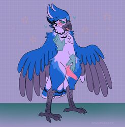 animal_genitalia anthro avian beak bird blue_jay bodily_fluids corvid cum cum_on_penis devour_dragon erection genital_fluids genital_slit genitals hi_res jay_(bird) looking_pleasured male male_only new_world_jay penis precum rubbing simple_background slit solo star talons tapering_penis winged_arms wings