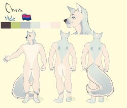 1boy anthro ass athletic balls biped bluesh canid canine canis chris_(bluesh) flaccid fur genitals hair hi_res humanoid_genitalia humanoid_penis lgbt_pride_colors male male_only mammal model_sheet multicolored_body multicolored_fur multicolored_tail nude pecs penis pubes simple_background small_penis standing uncut white_body white_fur white_hair white_tail wolf