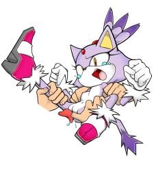 blaze the cat from sonic (series) by filthypally