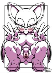 rouge the bat from sonic (series) by tojyo