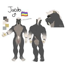 1boy anthro ass balls biped black_body black_fur black_tail bluesh felid flaccid fur genitals green_eyes hair heterochromia hi_res humanoid_genitalia humanoid_penis jacob_(bluesh) lgbt_pride_colors machairodontine male male_only mammal model_sheet multicolored_body multicolored_fur multicolored_tail nude penis pubes simple_background uncut white_hair yellow_eyes