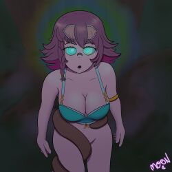 rakkun fan art