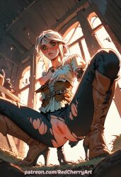 The Witcher (Series) Rule 34 Image