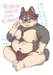 1boy 2020 anthro bara belly blush bulge canid canine canis closed_eyes clothing domestic_dog erection erection_under_clothing facial_hair hebokun japanese_text kemono male male_only mammal moobs moustache navel nipples overweight overweight_male simple_background sitting solo solo_male text underwear white_background