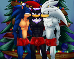 5:4 anthro black_body black_fur blue_body blue_fur bottomwear bulge christmas christmas_tree clothing dgemporium eulipotyphlan fur hedgehog hi_res holidays kissing licking male male/male mammal muscular muscular_male shadow_the_hedgehog shorts silver_the_hedgehog smile sonic_(series) sonic_the_hedgehog sonic_the_hedgehog_(series) tongue tongue_out tree white_body white_fur