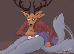 2020 anthro antlers balls beastars bottomless canid canine canis cervid clothed clothing duo fellatio genitals horn lawyerdog legoshi_(beastars) louis_(beastars) male male/male male_only mammal oral penile penis pillarbox sex shirt tailwag topwear wolf