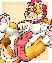 1boy altenusy anthro balls barazoku bowser bulge claws clothed clothing digital_media_(artwork) domestic_cat erection erection_under_clothes felid feline felis feral fur genitals hair humanoid koopa male male_only mammal mario_(series) meowser muscular nintendo penis red_underwear scalie simple_background solo super_mario_3d_world underwear video_games