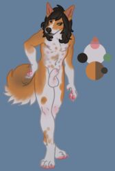 animal_genitalia anthro balls canid canine canis deermary domestic_dog fur genitals hi_res ibizian_hound male male_only mammal nude orange_body orange_fur pawpads paws sheath solo