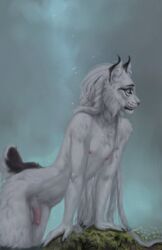 2020 anthro blue_eyes digital_media_(artwork) felid feline fur genitals hi_res lynx male male_only mammal moss nipples nude original_character penis raventenebris solo white_body white_fur