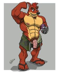 1boy abs activision anthro armpit_hair armpit_tuft aroused aroused_male balls bandicoot bara barazoku biceps big_muscles big_pecs blue_eyes body_hair border bottomwear brown_armpit_hair brown_eyebrows brown_facial_hair brown_goatee brown_pubes camo camo_bottomwear camo_clothing camo_print camo_shorts cellphone chestnuts_(artist) clothed clothing crash_(series) crunch_bandicoot drawstring drawstring_bottomwear drawstring_clothing drawstring_shorts electronics erection eyebrows facial_hair flaccid flexing flexing_bicep flexing_muscles flip_flops footwear fur furry furry_only gay genitals goatee green_bottomwear green_clothing green_shorts grey_background grin hair holding_cellphone holding_object holding_phone male male_only mammal manly marsupial muscular muscular_anthro muscular_arms muscular_male muscular_thighs nipples open_bottomwear open_clothing open_shorts orange_body orange_fur pattern_bottomwear pattern_clothing pattern_shorts pecs penis phone pink_penis pose presenting presenting_body presenting_pecs presenting_penis pubes pubic_hair puffy_nipples raised_arm red_hair sandals selfie shadow shoes shorts showing_off_muscles simple_background smile solo standing taking_picture taking_selfie thick_arms thick_eyebrows thick_thighs topless topless_anthro topless_male tough_guy vein veiny_penis video_games white_border yaoi yellow_body yellow_fur