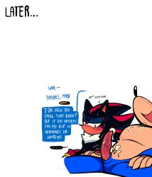 shadow the hedgehog from sega