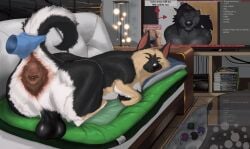 absurd_res anatomically_correct anatomically_correct_anus anatomically_correct_genitalia anthro anus ass big_anus big_butt black_body black_fur canid canine canis cheek_tuft chew_toy claws clothing dirty_anus disembodied_hand dog_bed domestic_dog electronics facial_markings facial_tuft feces feral floating floating_hands fluffy fluffy_chest fluffy_ears fluffy_tail fur furniture genitals german_shepherd ghost_hand gloves handwear hazed01 head_markings herding_dog hi_res holding_tail mammal markings meme microsoft mythological_canine mythological_creature mythology neck_tuft pastoral_dog pet_bed pillow presenting presenting_anus presenting_balls presenting_hindquarters quadruped raised_tail raphe_(anatomy) sleeping smelly_butt smile smirk sofa tail tan_body tan_fur television toy tuft vincent_vann_valentine werecanid werecanine werecreature werewolf white_body white_fur xbox xbox_360 xbox_game_studios