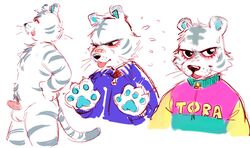 animal_crossing anthro blush clothing erection felid fur genitals male male_only mammal niichan nintendo nude pantherine penile_spines penis rolf_(animal_crossing) shirt solo striped_body striped_fur stripes tapering_penis tiger topwear video_games white_body white_fur