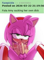 amy rose from sonic (series) by jakee