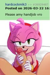 amy rose from sonic (series) by jakee