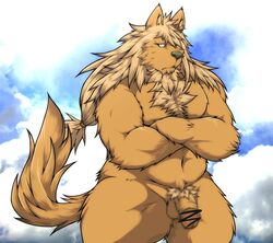 2015 anthro balls barazoku body_hair brown_body brown_fur canid canine censored chest_hair flaccid fur genitals hi_res humanoid_genitalia humanoid_penis kemono male male_only mammal penis solo suishou0602