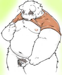 1boy 2017 anthro balls belly clothed clothing flaccid fur genitals hi_res humanoid_genitalia humanoid_hands humanoid_penis kemono male male_only mammal moobs navel nipples open_shirt overweight overweight_male penis polar_bear shirt simple_background small_penis solo solo_male suishou0602 topwear ursid ursine white_body white_fur