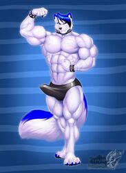 abs anthro arctic_wolf biceps big_penis blue_hair bracelet canid canine canis collar erection erection_under_clothing flexing fur furry genitals highres humanoid jewelry male male_only mammal muscular muscular_arms muscular_legs muscular_male muscular_thighs pecs penis reko_bluescar smile solo speedo spiked_bracelet spiked_collar spikes swimwear teeth thick_penis thick_thighs vallhund vein veiny_muscles white_body white_fur wolf