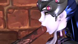3d blowjob fellatio horsecock overwatch penis spit widowmaker zoophilia