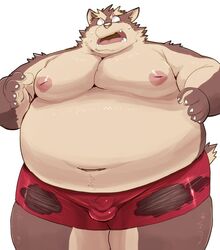 2016 anthro balls_outline belly brown_body brown_fur bulge canid canine fur genital_outline iwano kemono male mammal moobs navel nipples obese overweight overweight_male penis_outline simple_background solo white_background