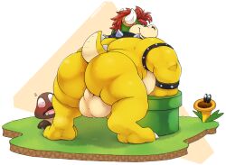 2024 anthro ass ass_focus backsack balls barazoku bent_over big_balls blush bowser collar exhibitionism eyebrows genitals goomba group hi_res koopa leaning leaning_forward looking_at_viewer looking_back looking_back_at_viewer male male_focus male_only mario_(series) muscular muscular_anthro muscular_male muscular_thighs nintendo perineum presenting presenting_balls presenting_hindquarters rear_view scalie size_difference skaifox solo_focus solo_male spiked_collar spikes super_mario_bros._wonder talking_flower_(super_mario_bros._wonder) thick_eyebrows trio warp_pipe