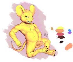 balls boner dragon_ball dragon_ball_super erection god_of_destruction male male_only mouse nude penis quitela rodent seyrmo sitting solo solo_male yellow_body yellow_fur