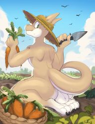 anthro balls carrots farmer genitals kobold male solo soolopik wide_hips