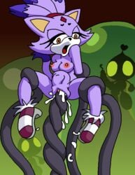 animated anthro blaze_the_cat project_x_love_potion_disaster sonic_(series) stomach_bulge tagme tentacle zetateam