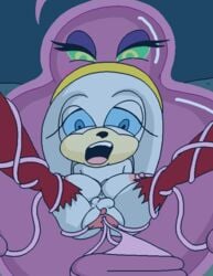 animated breasts duo fondling furry gif penis project_x project_x_love_potion_disaster sonic_(series) stomach_bulge tagme tentacle urethra urethral zeta_the_echidna zetateam