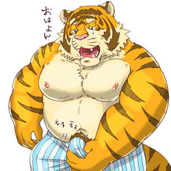 1:1 2018 anthro belly bulge clothing erection erection_under_clothing felid humanoid_hands japanese_text kemono male male_only mammal moobs navel nipples overweight overweight_male pantherine pink_nose raichoclub simple_background solo text tiger underwear white_background