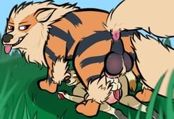 2boys all_fours anal anal_sex animal_genitalia animal_penis anthro anthro_on_feral anthro_penetrated anus arcanine ass ass_up ball_size_difference ball_tuft bent_over big_dom_small_sub big_penis big_testicles black_fur blush bodily_fluids canid canine canine_penis closed_eyes cum cum_belly cum_in_ass cum_inside cum_while_penetrated cumshot day dripping duo ejaculation erection feral feral_on_anthro feral_penetrating feral_penetrating_anthro forest from_behind_position fur furry gay genital_fluids half-closed_eyes hands-free hi_res inflation interspecies jay_(raccoonbro) knot larger_male male male_only male_penetrated male_penetrating male_penetrating_male mammal mane multicolored_body multicolored_fur nintendo nude open_mouth orange_body orange_fur orgasm original_character outside paws penetration penis penis_size_difference perineum pink_anus pink_penis pink_tongue poképhilia poke_ball pokemon pokemon_(species) pokemon_rgby precum procyonid puffy_anus raccoon raccoonbro raised_tail rear_view sex sharp_teeth size_difference sky smaller_male smile snout stomach_bulge stripes tail tan_balls tan_body tan_fur tan_tail teeth testicles tongue tongue_out tree tuft tying video_games yaoi zoophilia