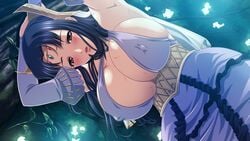 rokusaanu do dejiiru from kyonyuu fantasy