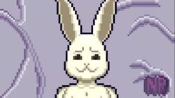 animated beastars bouncing_breasts canon_couple cum_in_pussy cum_inside female furry haru_(beastars) legoshi_(beastars) male male/female nashara0n netflix pixel_art rabbit_humanoid straight straight_sex video x-ray