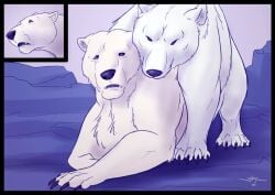 after_transformation anatomically_correct bear blacktigerr detailed female feral feral_on_feral feral_only male male/female mating outside polar_bear post-transformation realistic sad sad_expression sex tagme transformation ursine white_fur worried worried_expression zoo
