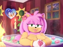 Sonic (Series) Rule 34 Image